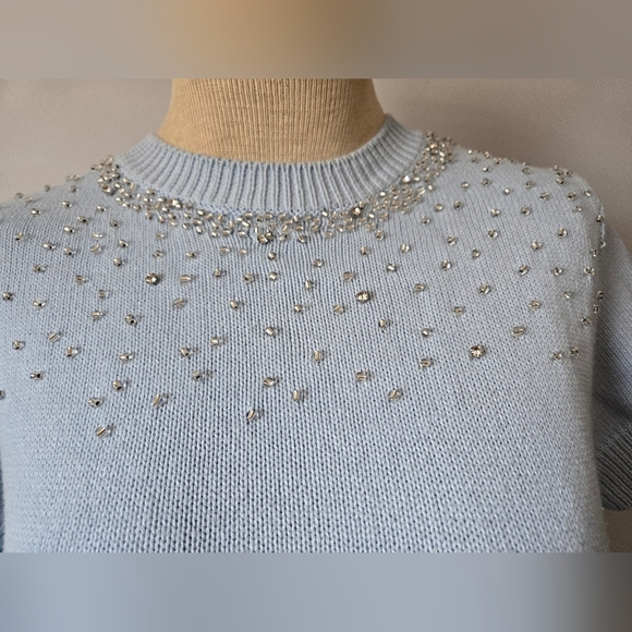 ZARA Light Blue Beaded Short Sleeve Sweater. Size Small - Picture 3 of 9